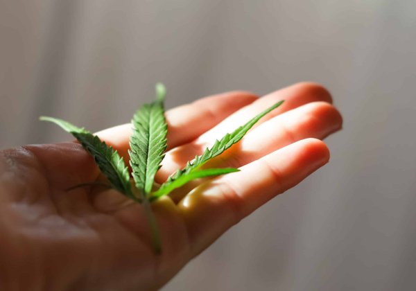 Quels sont les avantages du CBD ?