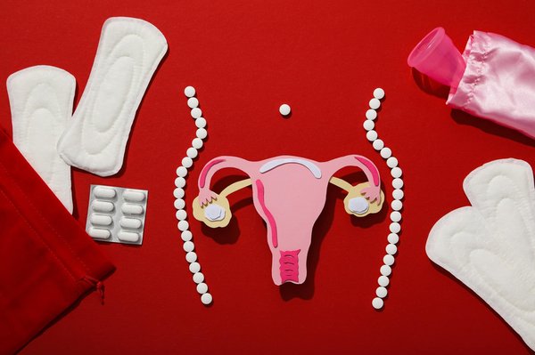 Comment fonctionne le cycle menstruel et ses différentes phases